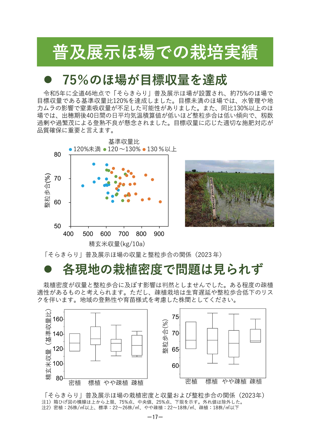 【帯付きレア】マジック・マッシュルーム 完全栽培マニュアル マジック・マッシュルーム完全栽培マニュアル 最高 マジック