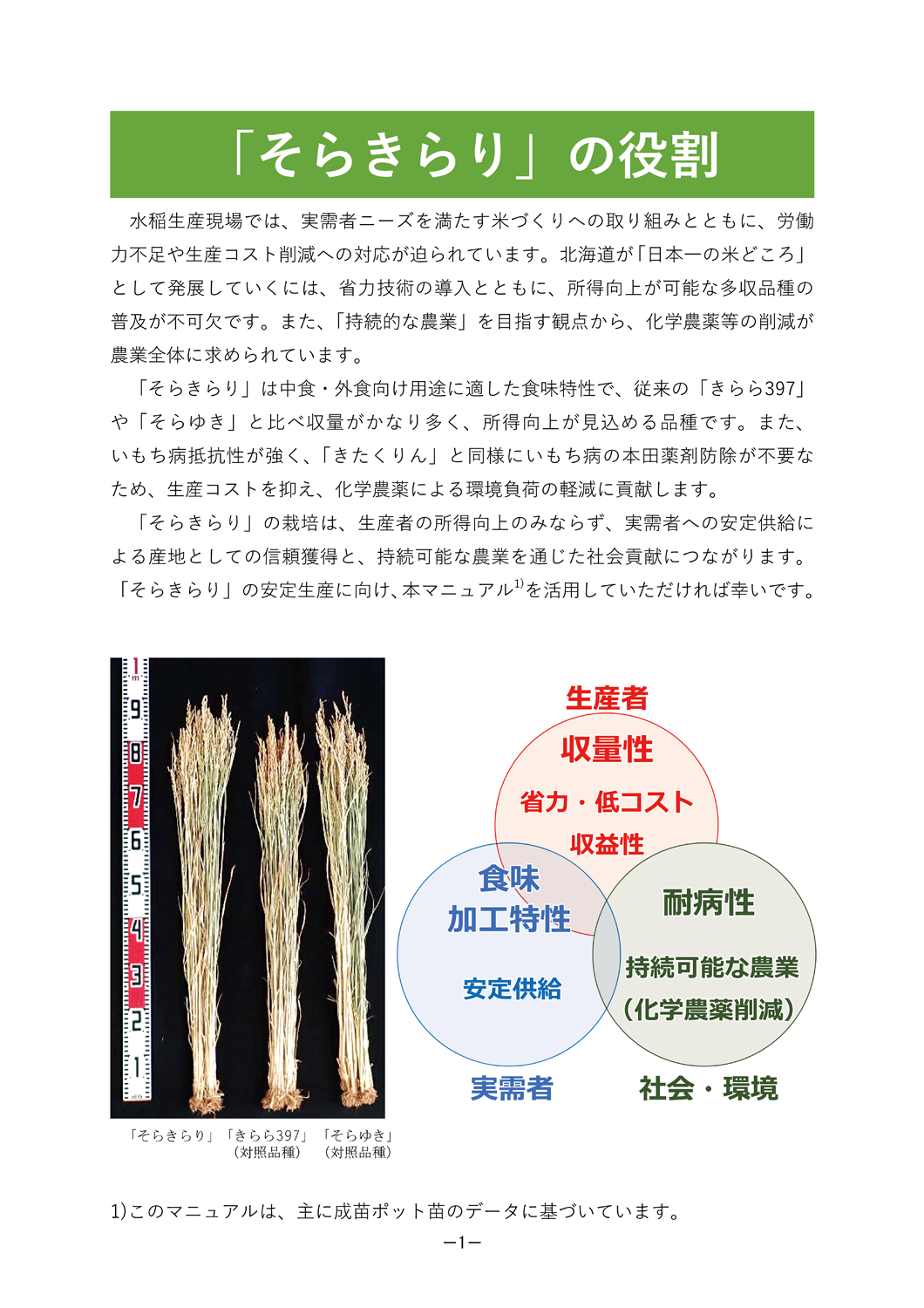 そらきらり」栽培マニュアル