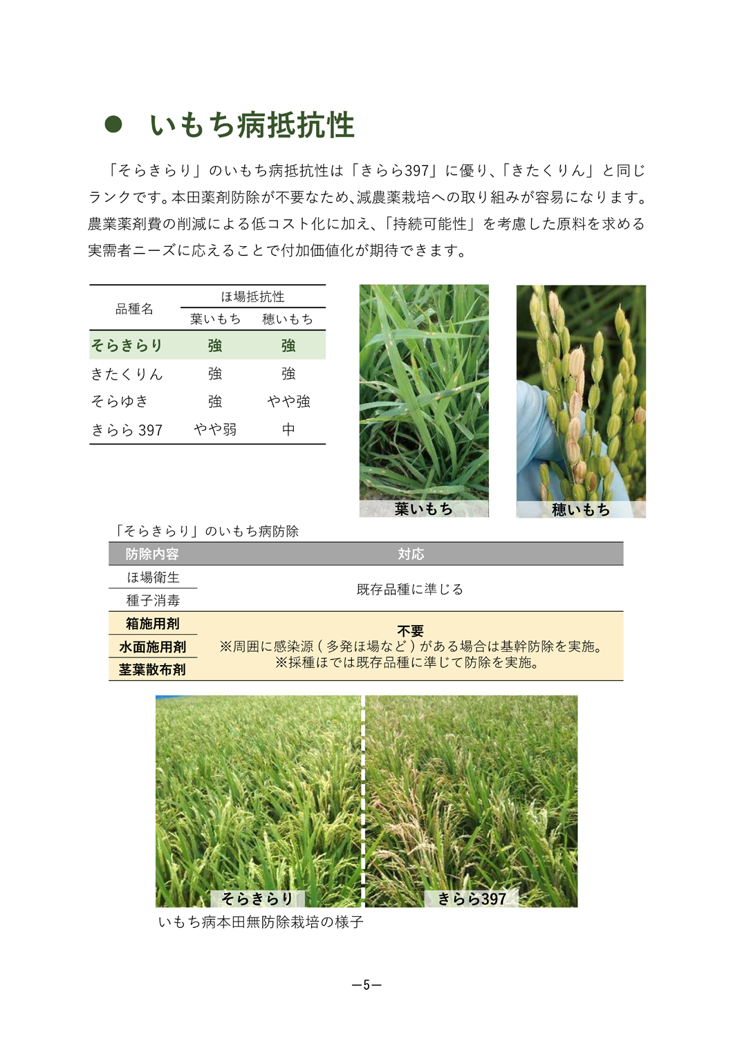 そらきらり」栽培マニュアル