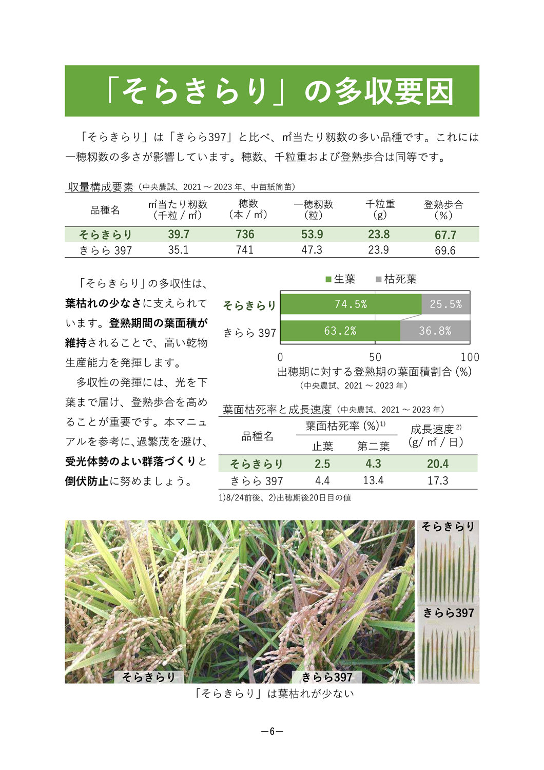 そらきらり」栽培マニュアル