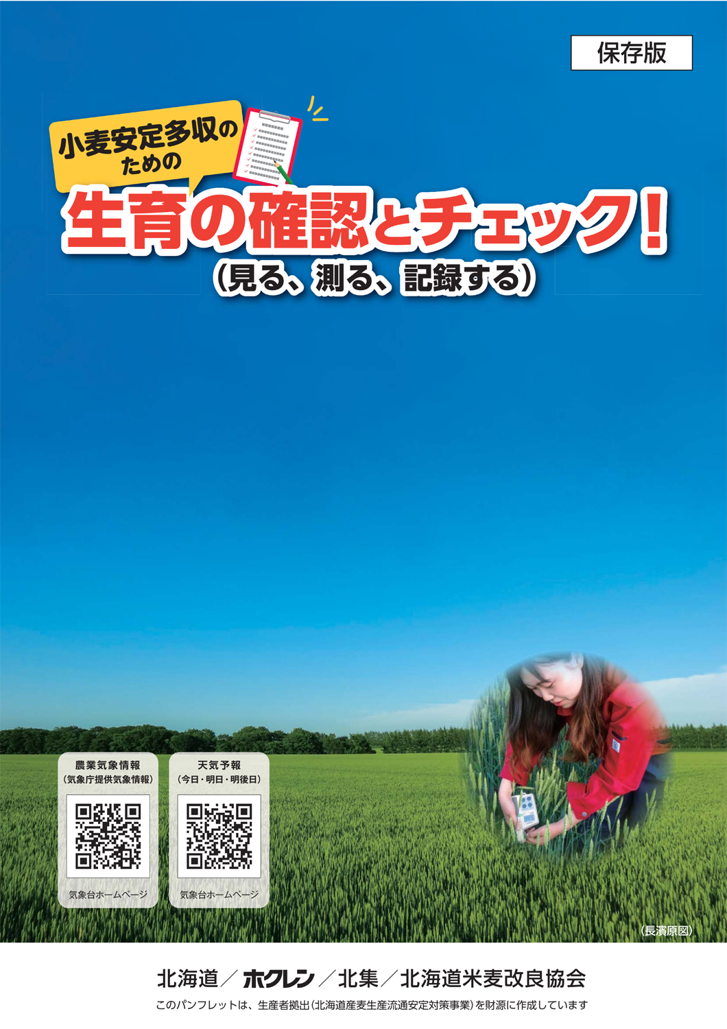 小麦安定多収のための「生育の確認とチェック！」