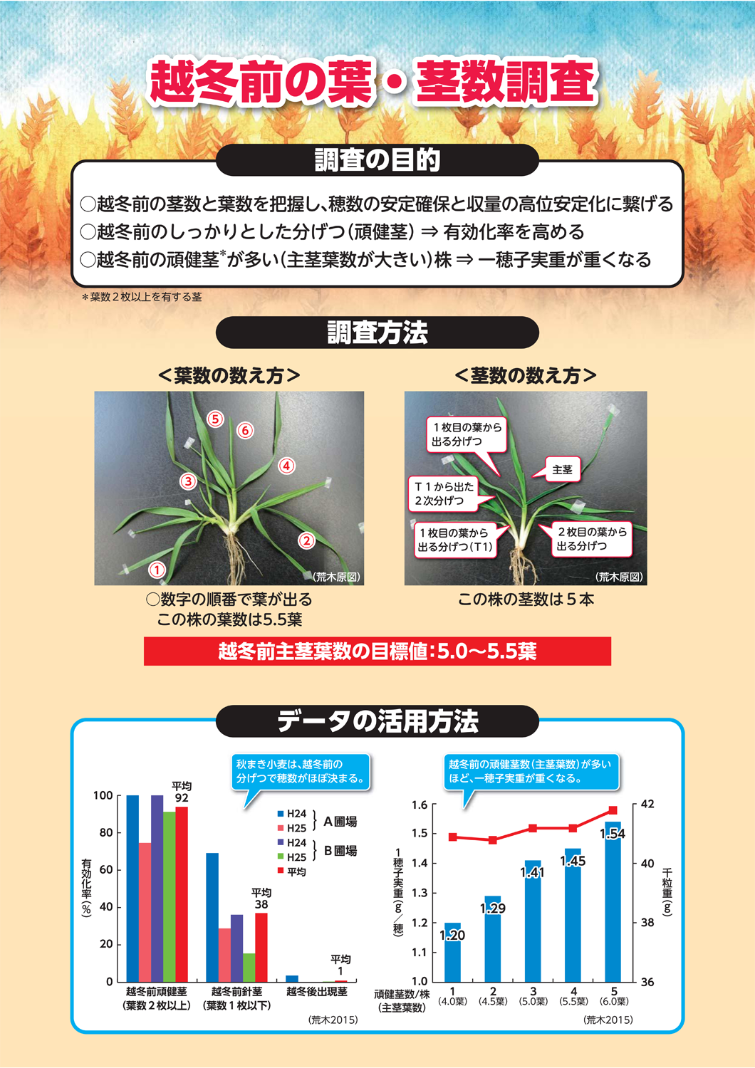 小麦安定多収のための「生育の確認とチェック！」