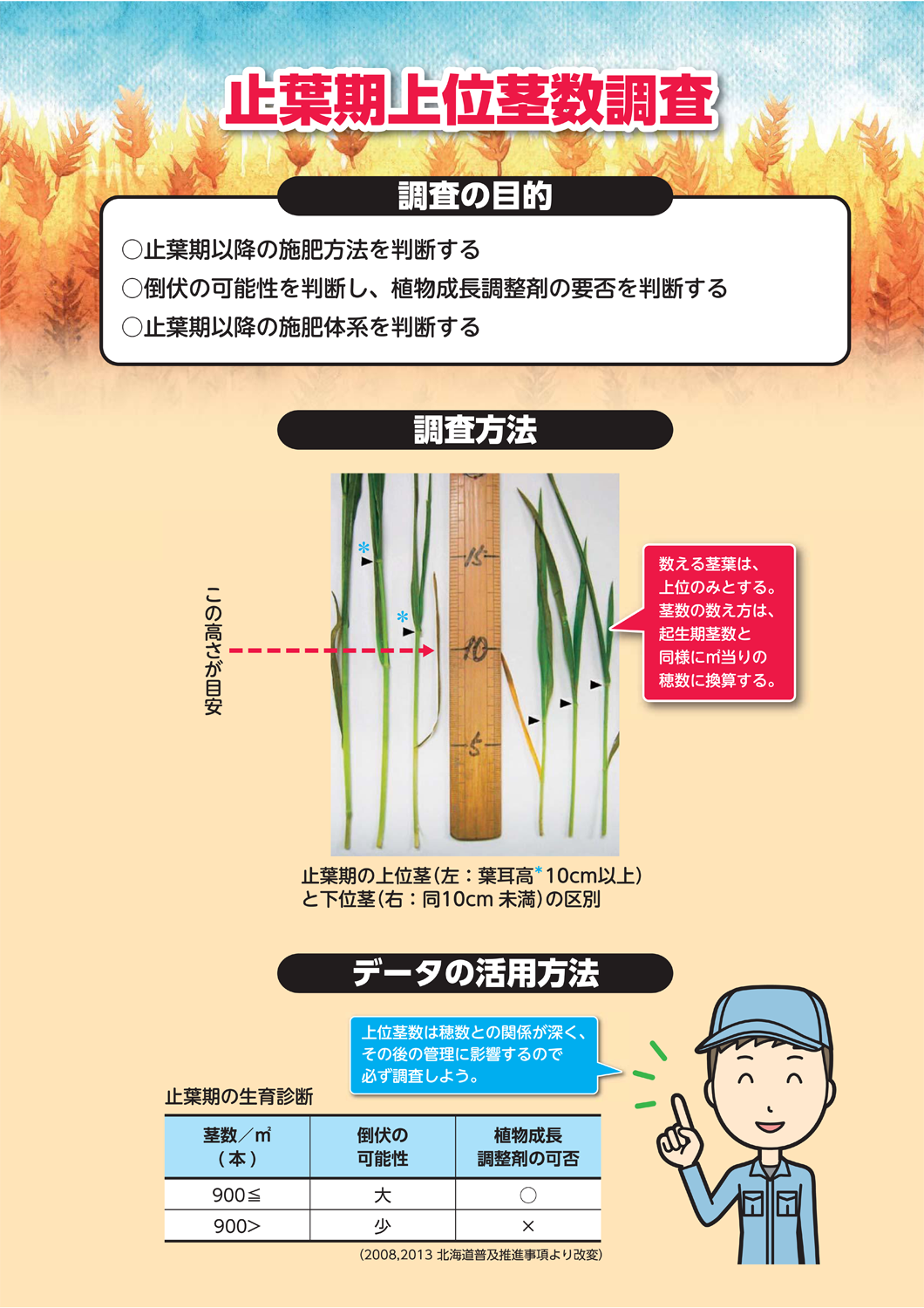 小麦安定多収のための「生育の確認とチェック！」