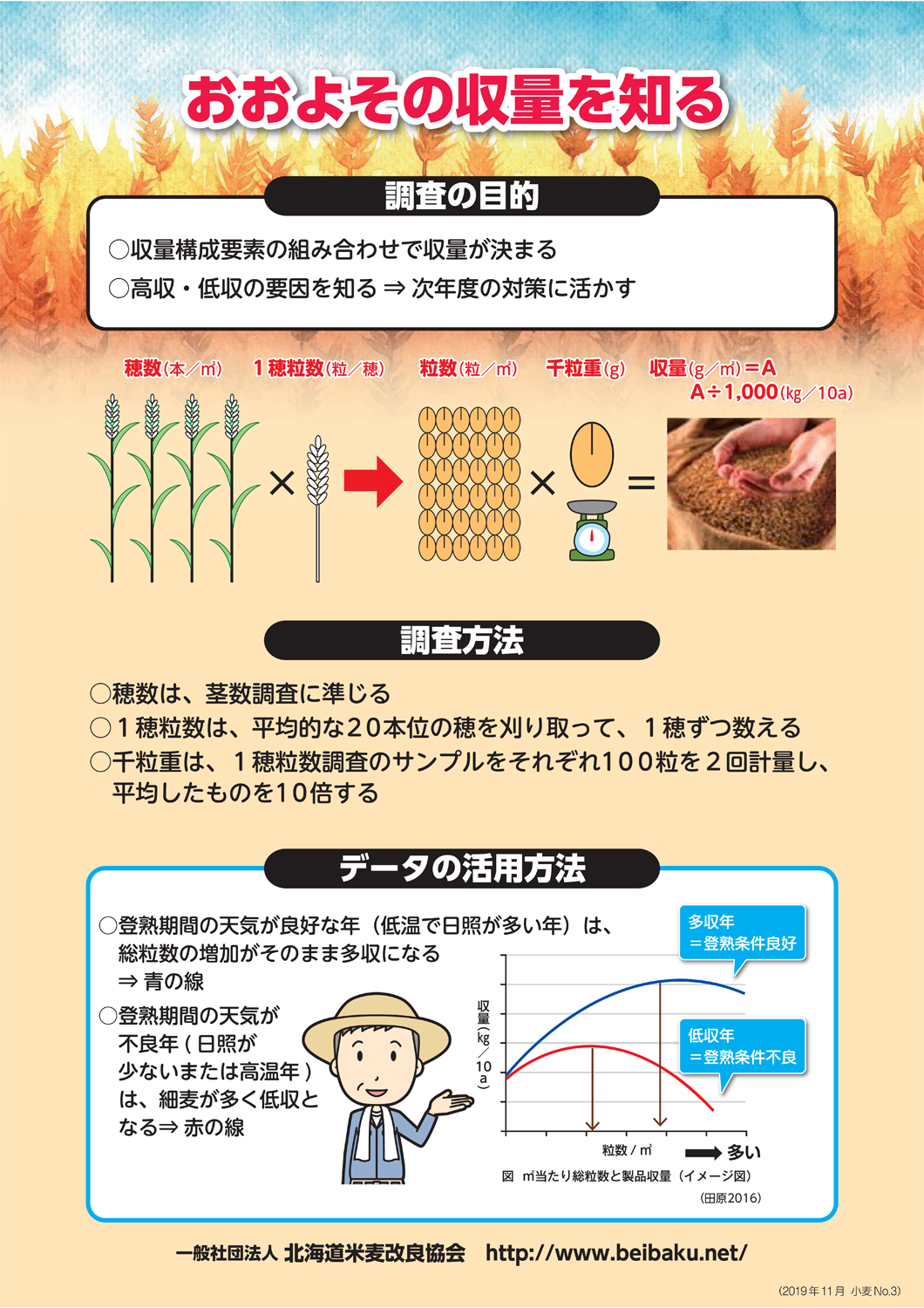 小麦安定多収のための「生育の確認とチェック！」