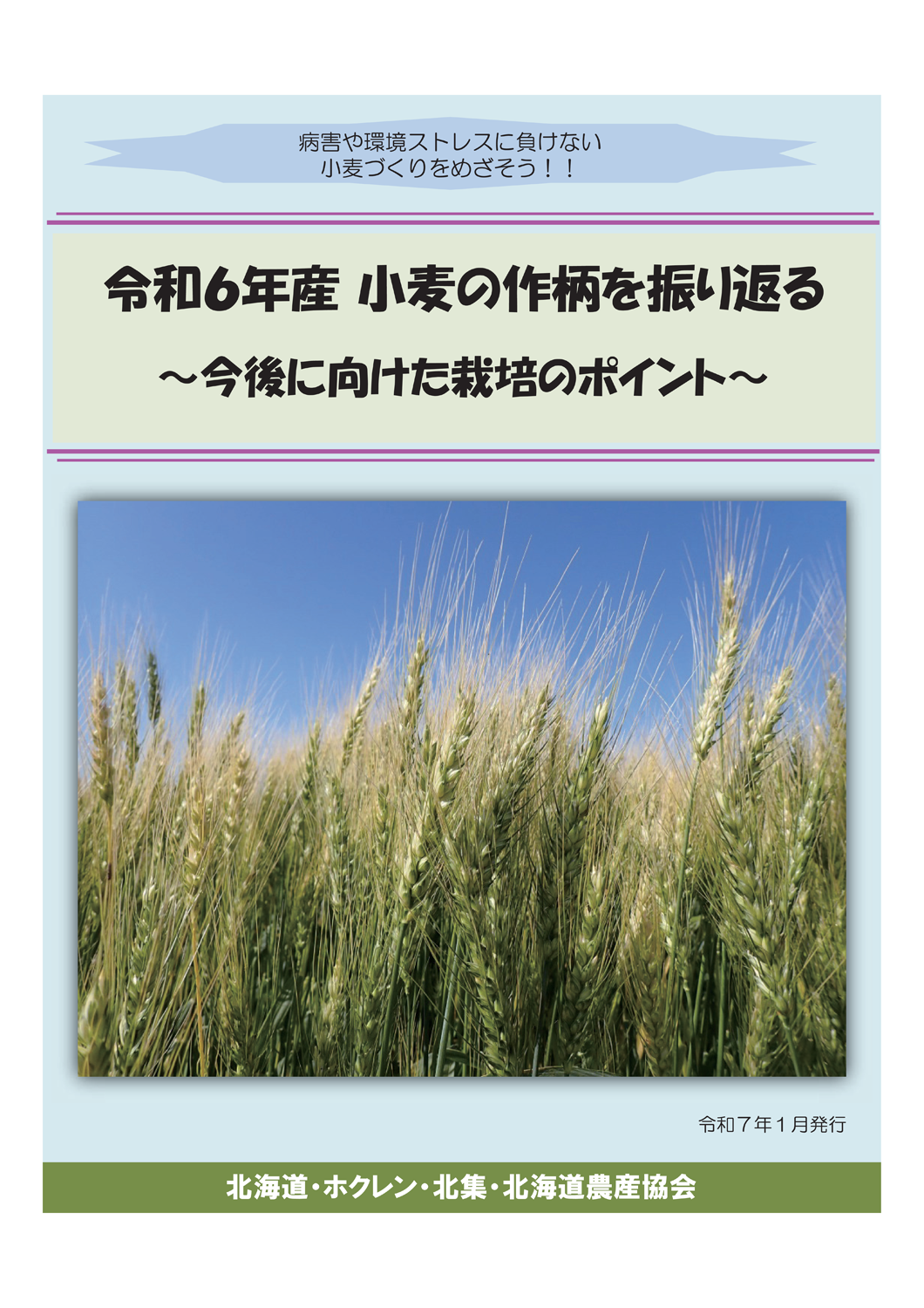 令和6年産　小麦の作柄を振り返る